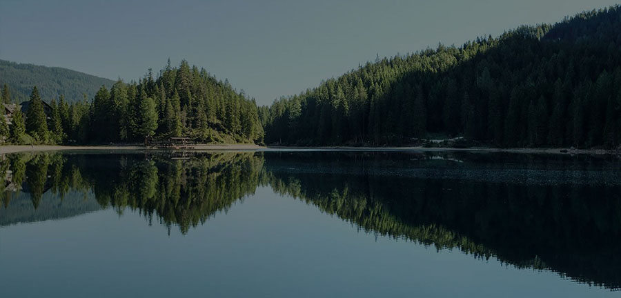 Image of a lake reflecting the trees on the bank of the lake.